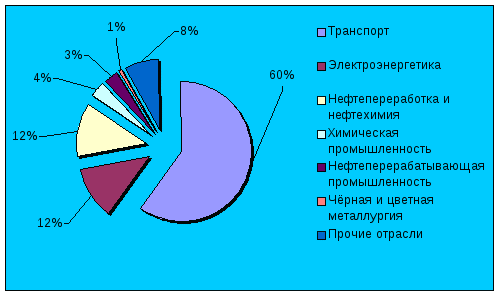 Программа элективного курса по географии родного края