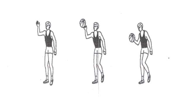 Методические рекомендации по технической подготовке баскетболистов на занятиях спортивной секции