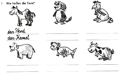 Урок немецкого языка по теме: Животные(2 урок)