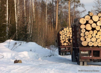 Урок познания мира на тему Труд людей зимой