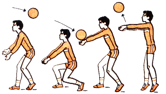 Открытый урок в 7 классе на тему: Волейбол