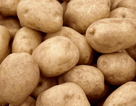 Исследовательская работа«Сортоиспытание картофеля»