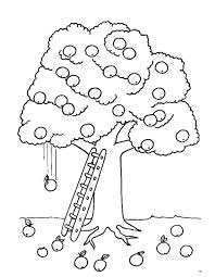 Конспект урока по трудовому обучению для 7 класса школы VIII вида. «Высокорослые и карликовые плодовые деревья, понятие приствольного круга».