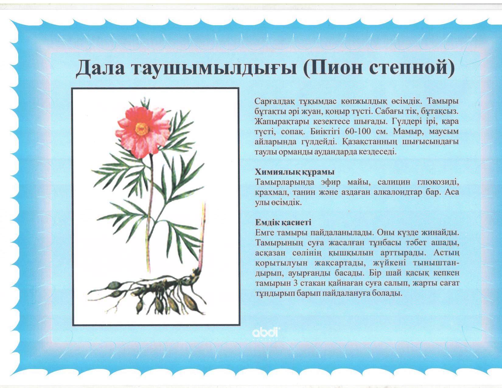 Лекарственные растения Ставропольского края