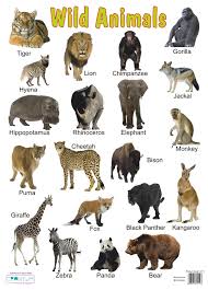 Урок по английскому языку на тему Animals-жануарлар