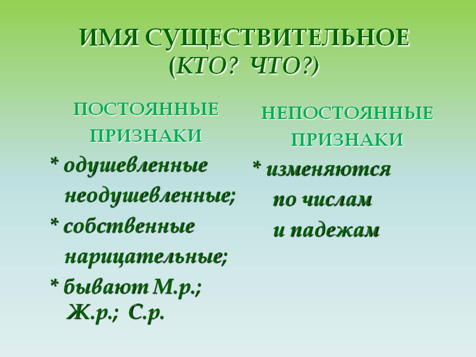 Конспект урока по русскому языку Имя существительное.Повторение