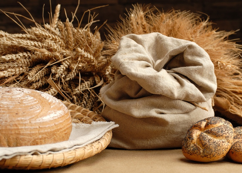 Сценарий воспитательного мероприятия, посвященного бережному отношению к хлебу Хлебу- почтение вечное