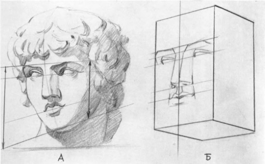 РМетодическая последовательность работы над рисунком гипсовой, античной головы