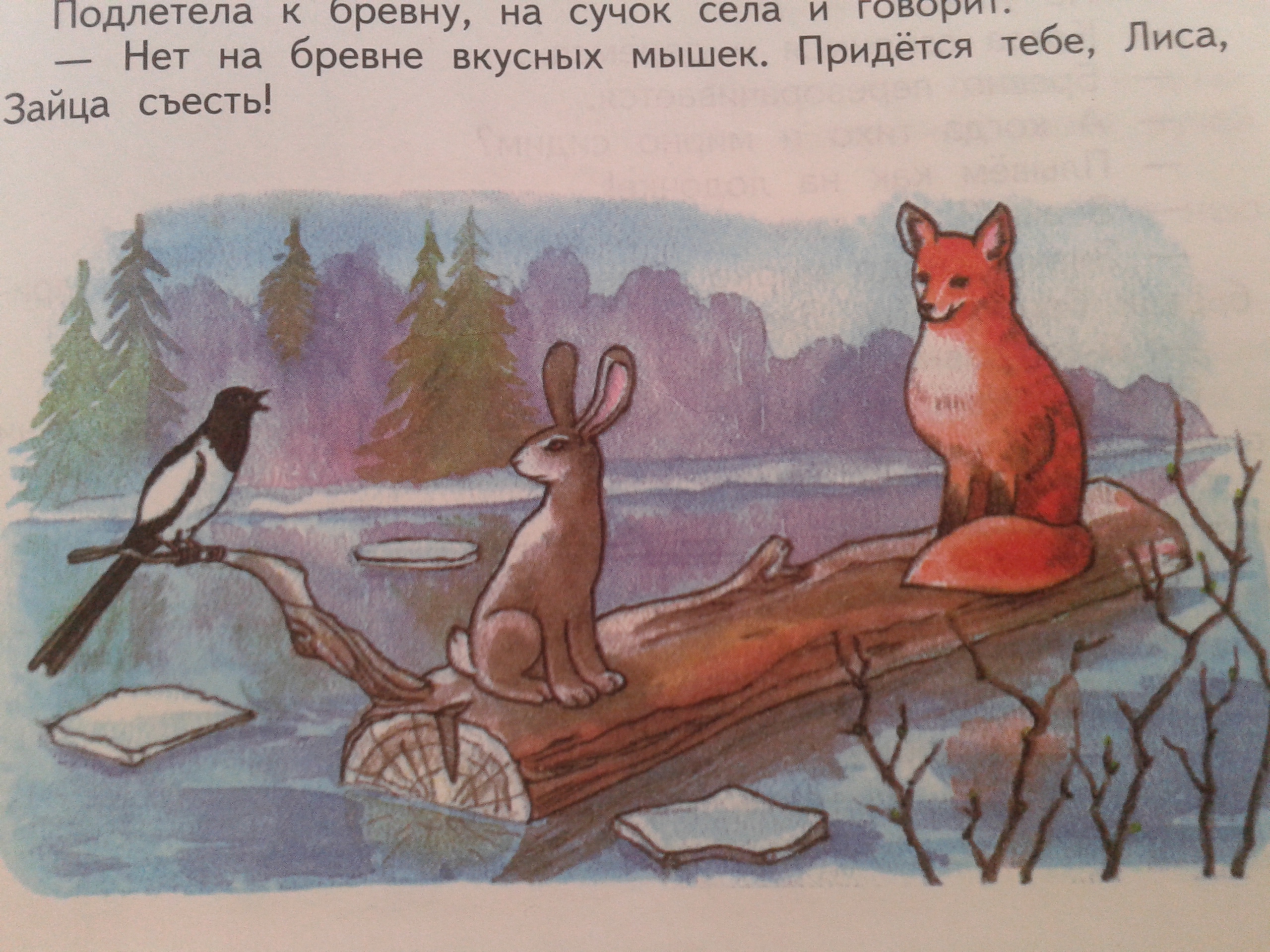 Иллюстрации к произведениям Сладкова