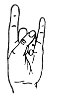 Коррекционно – развивающая программа по развитию точных дифференцированных движений пальцев рук