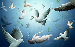 Всеукраїнський конкурс «Моральний вчинок», тематичне спрямування, екологічний проект на тему: «Чарівний світ пташок»