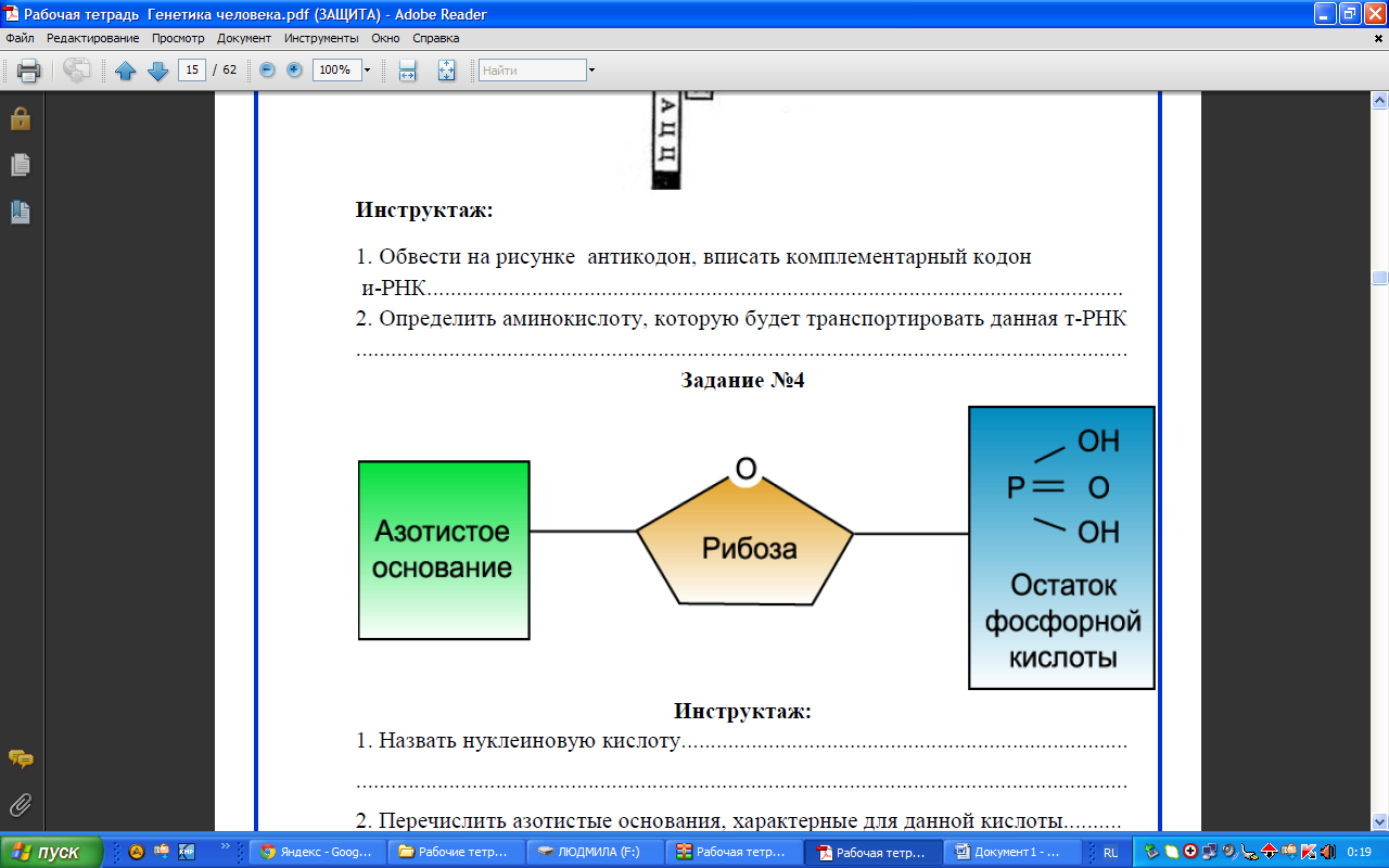 КОС по дисциплине Генетика человека с основами медицинской генетики