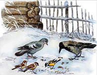 Конспект урока по окружающему миру на тему: Где зимуют птицы?