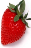 Кроссворд Какая ягода самая полезная?