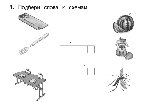 Соотнеси слово с картинкой