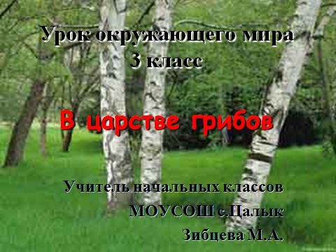 Конспект урока на тему В царстве грибов