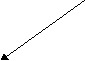 Информация. Проектная работа по обществознанию