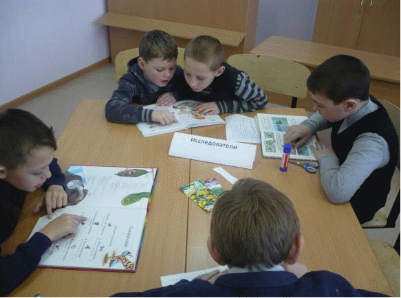 Проект «Аптека в огороде»