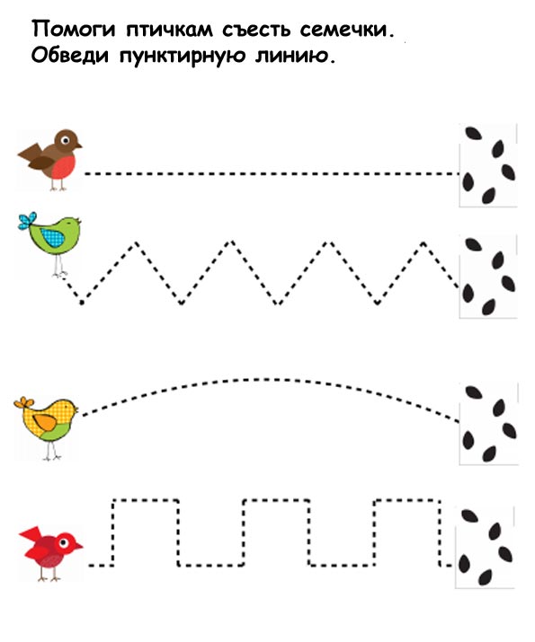 Құстар тақырыбына сабақ жоспары