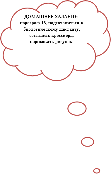 Рабочий лист урока биологии Плод