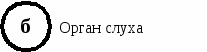 База тестовых заданий по теме Информация и знания