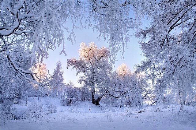 Конспект урока украинского литературного чтения во 2 классе по теме Поэтические картины зимы М. Рыльский Зима.