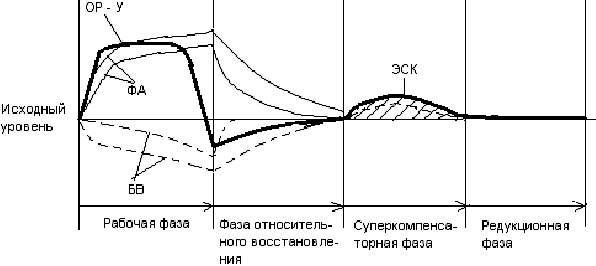 Фазы a b c. Фазы изменения эффекта упражнений. График восстановления работоспособности. Фазы следового эффекта упражнения. Редукционная фаза физических упражнений.