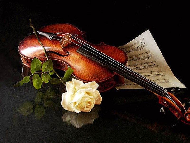 Классный час на тему «Её величество скрипка»