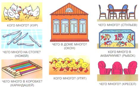 Урок русского языка в 5 классе Склонение имен существительных