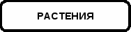 Задания для индивидуальной работы с учащимися 5 класс