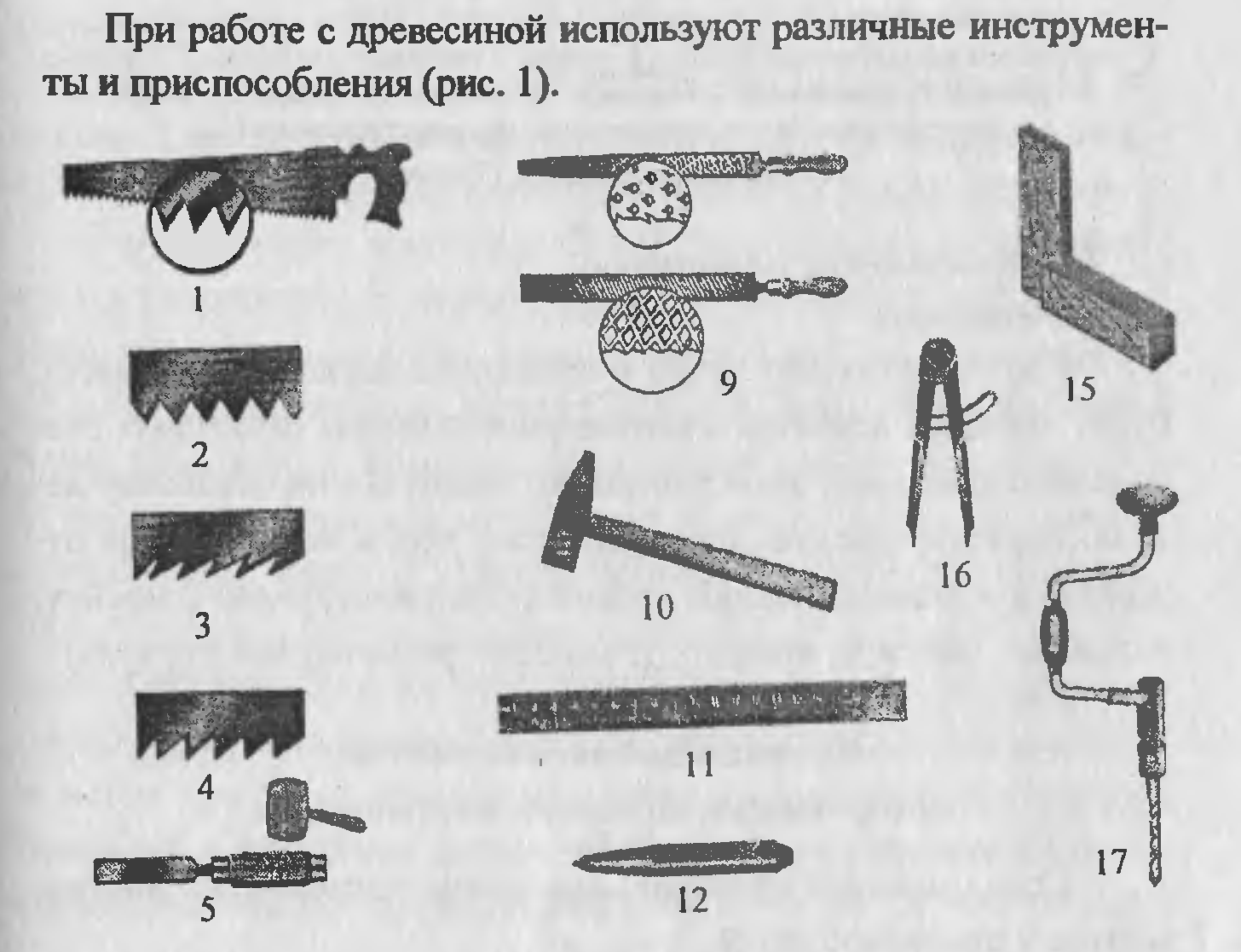 Тесты для 5 класса