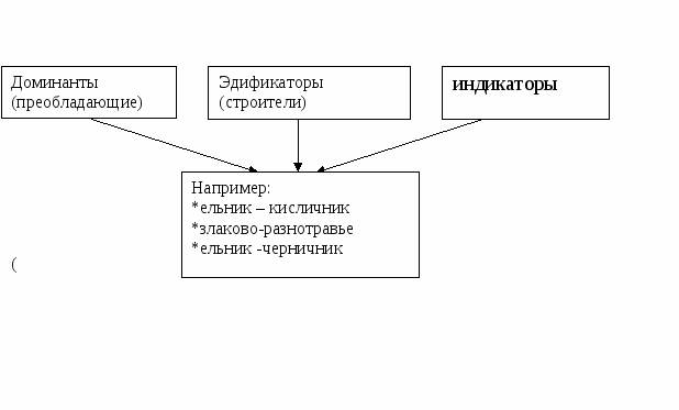 УЧЕБНОЕ ПОСОБИЕ в схемах по разделу «Экология» курса «Биология» для средних профессиональных учреждений