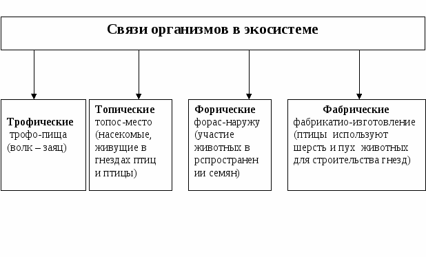 УЧЕБНОЕ ПОСОБИЕ в схемах по разделу «Экология» курса «Биология» для средних профессиональных учреждений