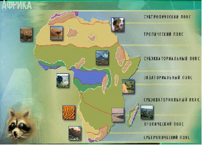 План-конспект урока географии по теме: «Природные зоны. Экваториальные леса. Саванны».