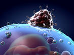 Буклет Здоровая клетка к уроку по биологии Строение клетки