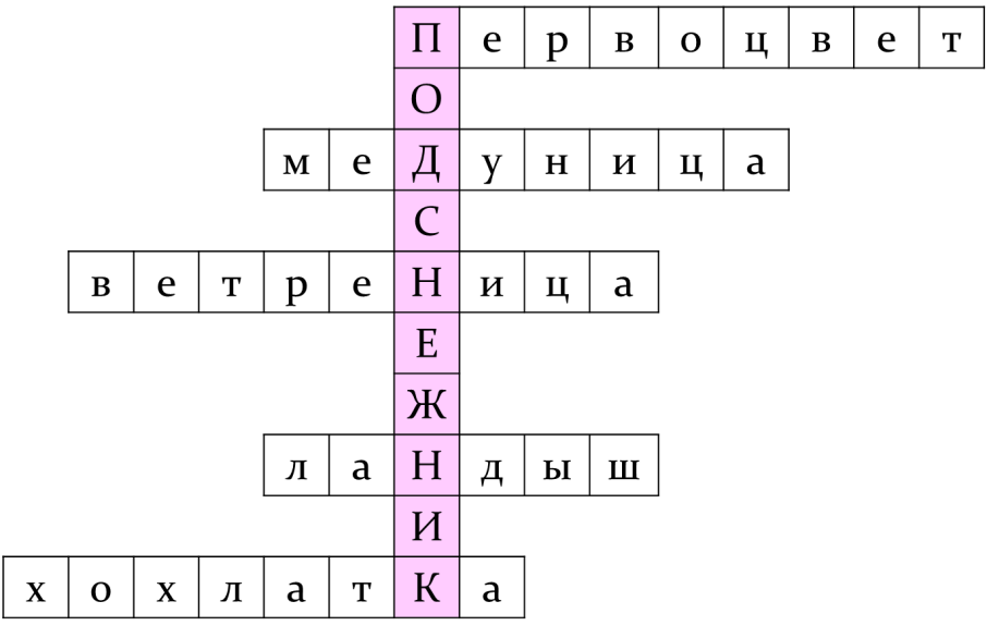 Внеклассное занятие по окружающему миру в 1 классе на тему: «В гостях у первоцветов»