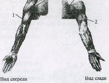 Подготовка к ЕГЭ (часть 2, задание 35)