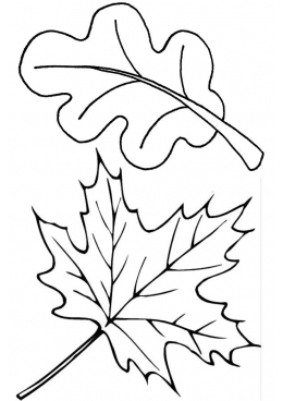Конспект урока изобразительного искусства в 1 классе на тему Осенние листья. Мы - художники волшебники