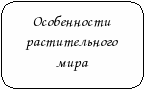 Конспект урока на тему: «Леса россии»