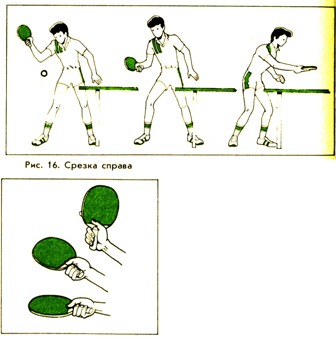 Конспект тренировочного занятия по настольному теннису