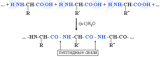 Состав творога. Содержание веществ в твороге.