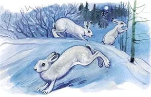 Урок по курсу Человек и мир на тема: «Жизнь диких животных зимой»