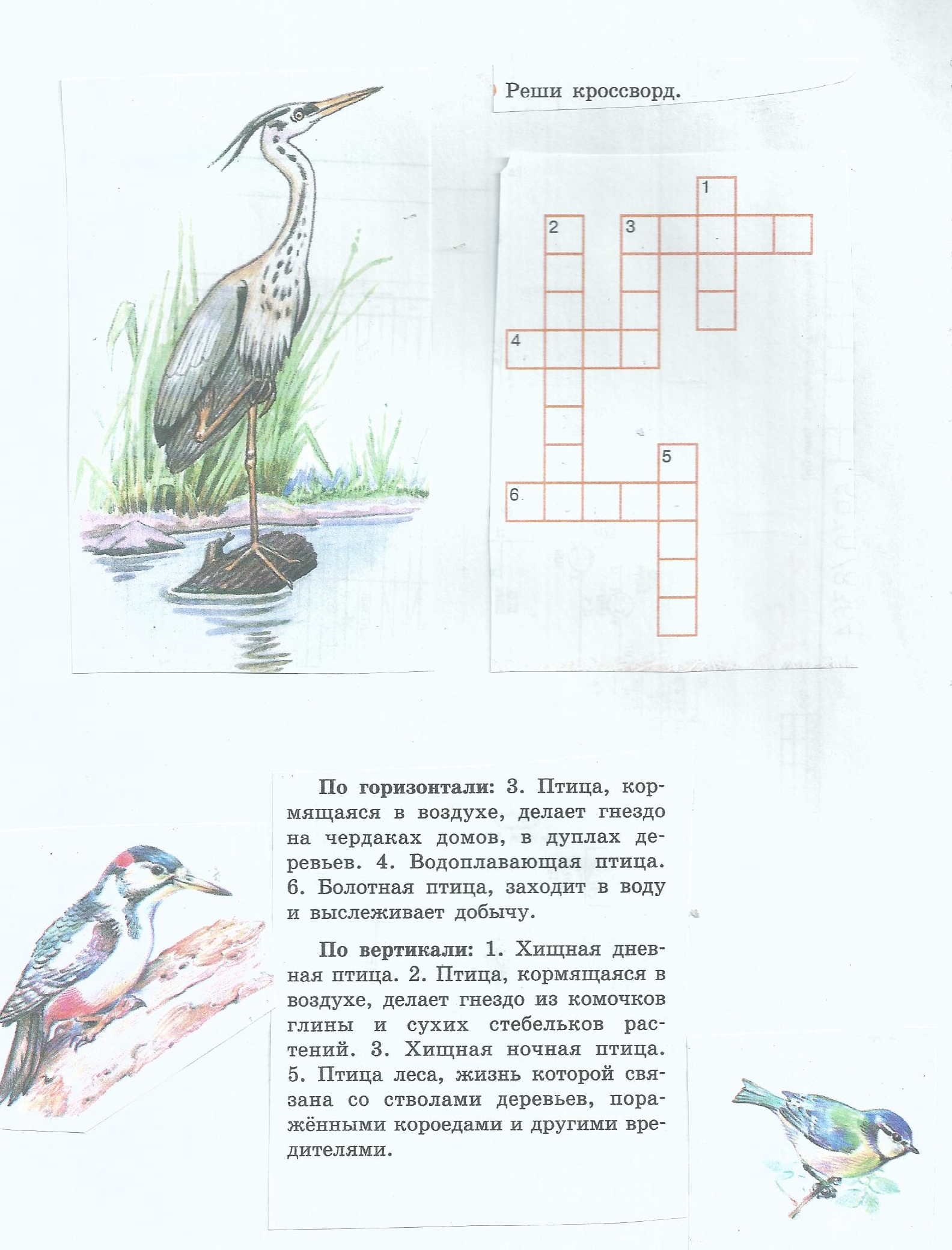 Технологические карты по биологии 8 класс для детей с нарушением интеллекта по теме: Роль птиц в природе и жизни человека.