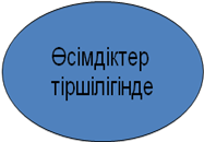 Презентация по химию Су - таңғажайып зат 8 класс