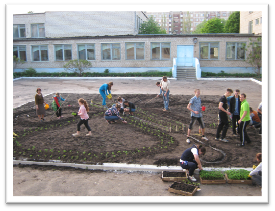 Проект Будь природе другом,опыт работы волонтерского отряда Новое поколение