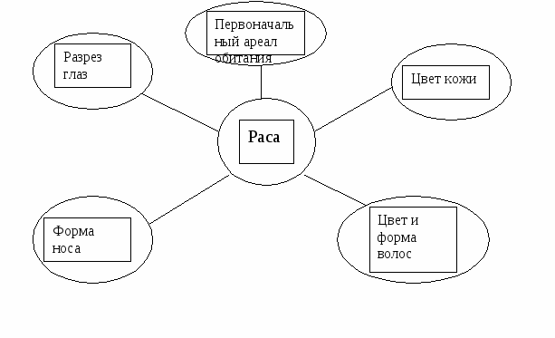 Урок по теме Расы человека 11 класс