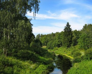 Конспект урока по предмету Истоки на тему Лес