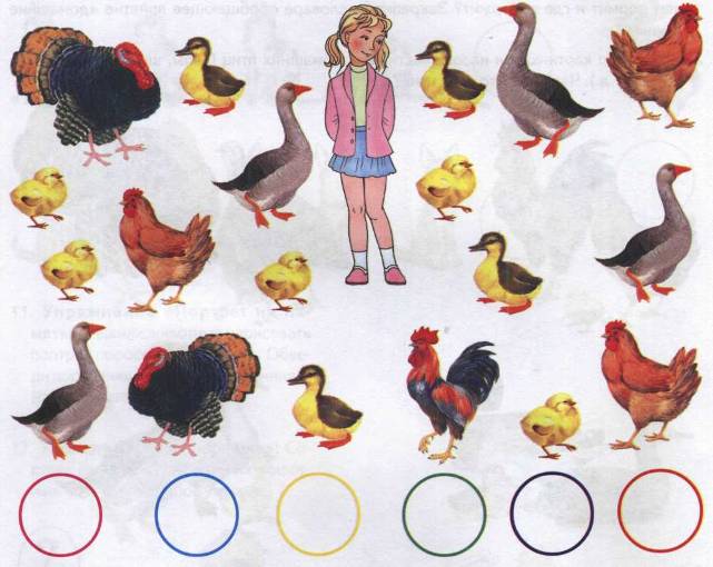 Дидактический материал к уроку по теме Домашние птицы