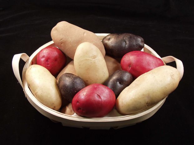 Статья в школьную газету История картофеля
