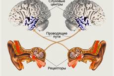 Разработка урока на тему Звук (9 класс)